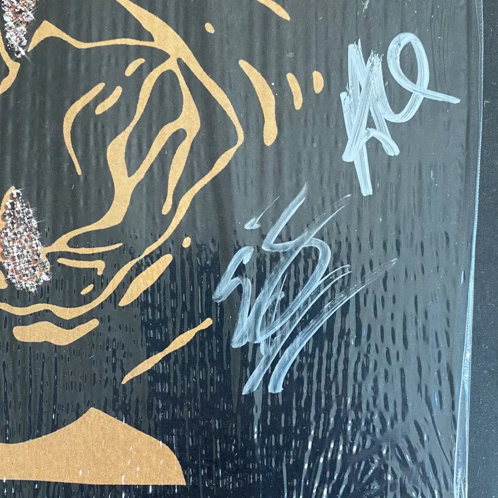 Black Pumas - Chronicles of a Diamond Splatter LP Signed Cover