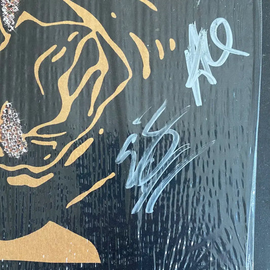 Black Pumas - Chronicles of a Diamond Splatter LP Signed Cover